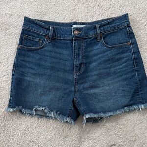 Never Worn! Loft Denim Blue Women's Shorts - Size 4/27